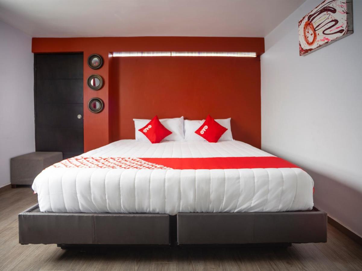 Hotel Adhoc Express Monterrey Zewnętrze zdjęcie