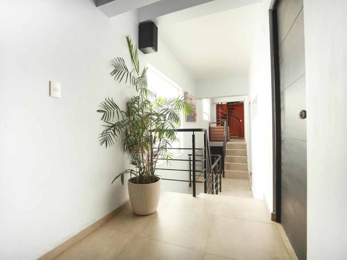 Hotel Adhoc Express Monterrey Zewnętrze zdjęcie