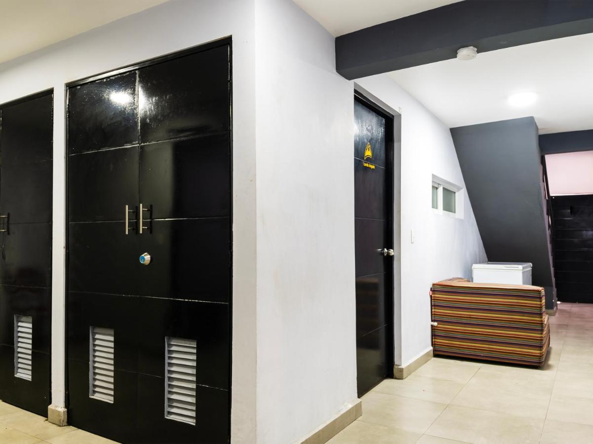 Hotel Adhoc Express Monterrey Zewnętrze zdjęcie